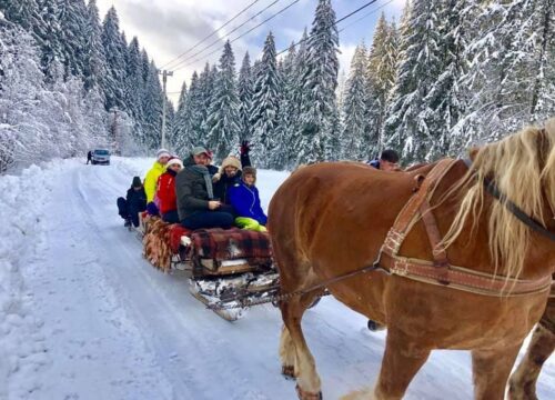 Craciunul la Lacrima Izei